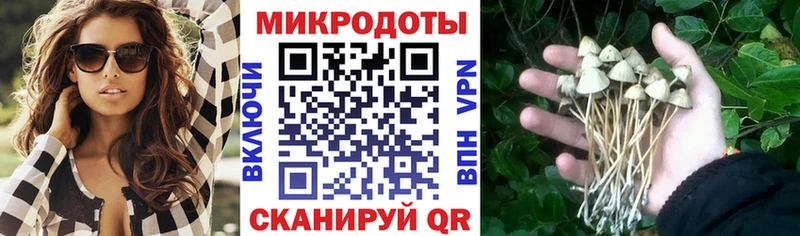наркота  Кириллов  Псилоцибиновые грибы ЛСД 